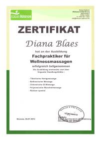 Zertifikat Wellnessmassagen 06.07.2012